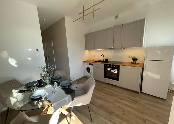 公寓 Leo 克拉科夫